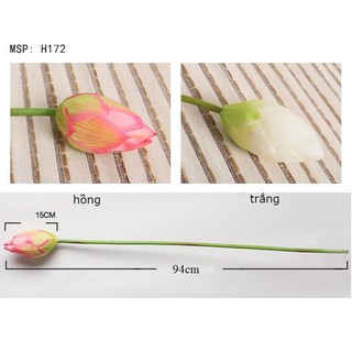 Hoa Sen Lụa Cao Cấp