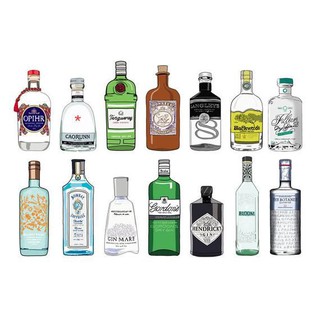 Vỏ Chai Rượu GIN cắm hoa, trang trí phòng khách, ...