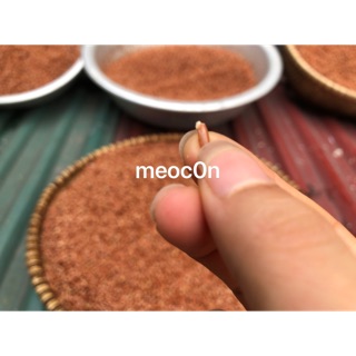 Gạo lứt mầm combo to