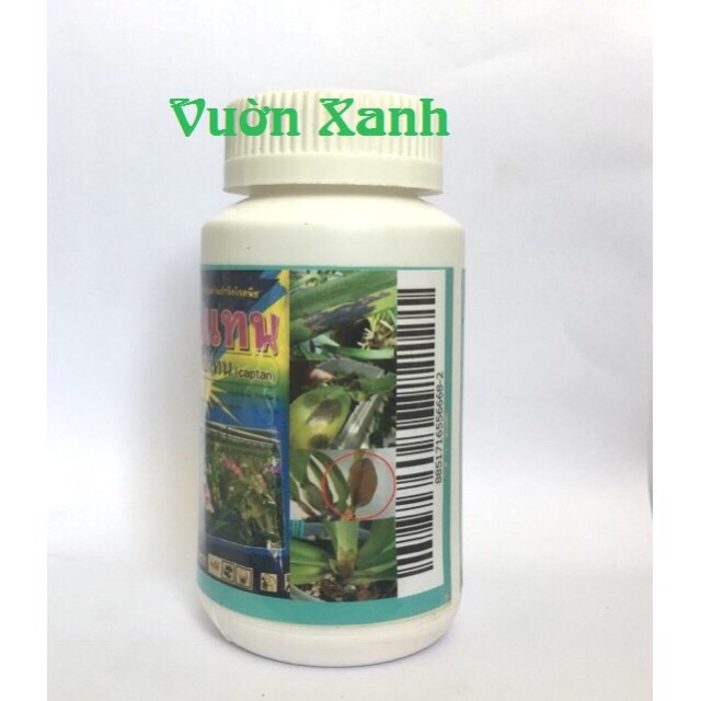 Thuốc trị nấm bệnh cho Lan và hoa hồng Captan (Thái Lan)