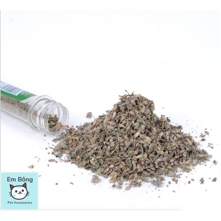 [⭐️ GIẢM GIÁ LẤY DOANH SỐ] Cỏ mèo (catnip)