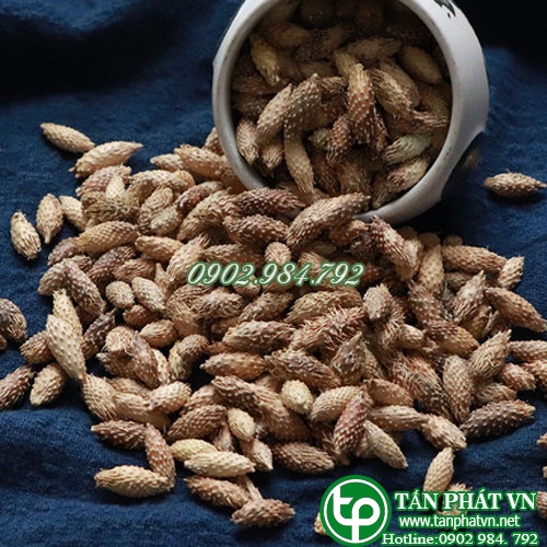 Hạt ké đầu ngựa khô - Thảo dược Tấn Phát