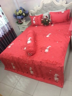 Chăn ga gối poly