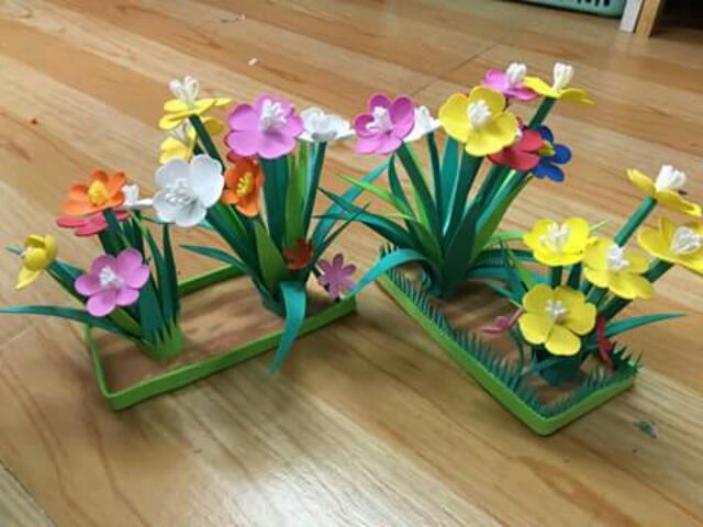 Cây hoa _nhiều màu | BigBuy360 - bigbuy360.vn