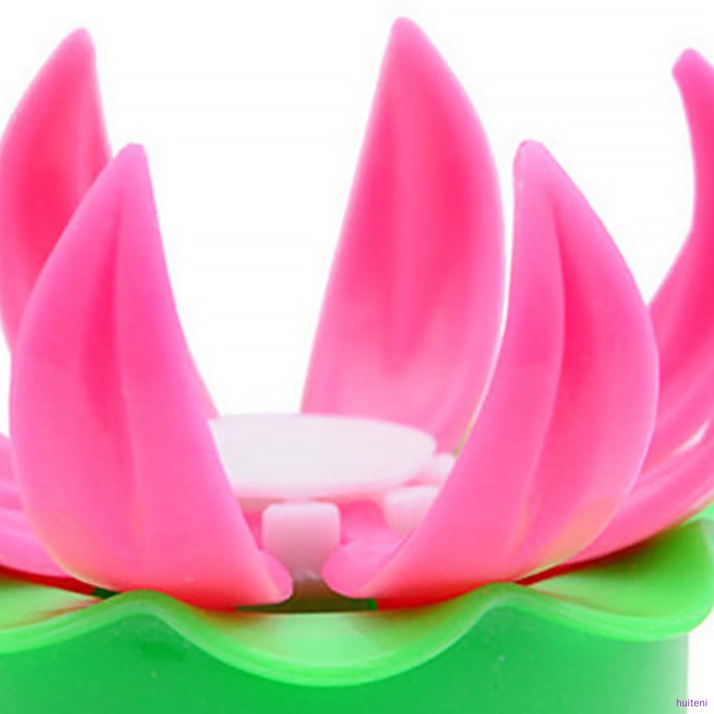 Khuôn làm bánh màn thầu DIY bằng nhựa tiện lợi dành cho nhà bếp