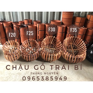 [tặng túi lót chậu] Chậu gỗ trồng lan
