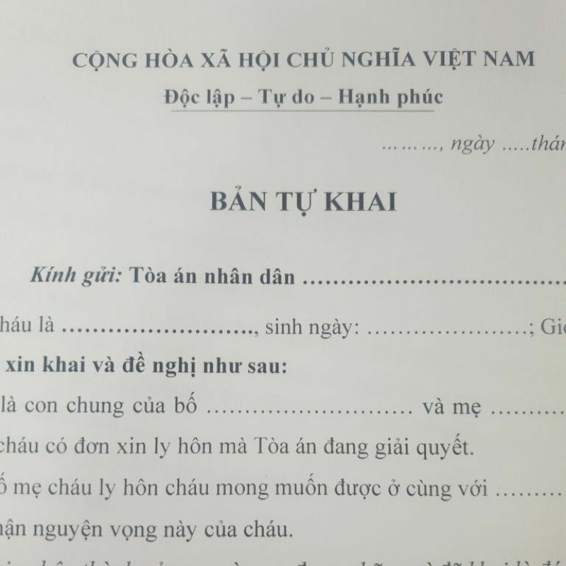 Đơn ly hôn giành quyền nuôi con trên 07 tuổi