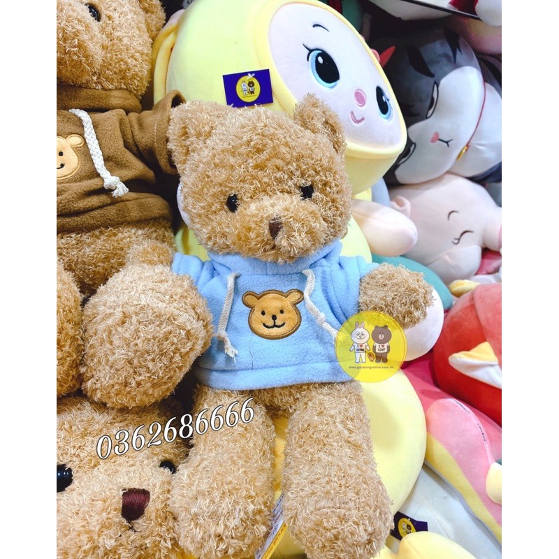 Gấu Teddy - Teddy áo hoodie đội mũ cao cấp - Xưởng Gấu Bông Việt Nam
