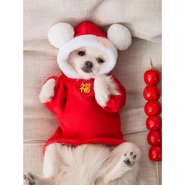 Áo hoodie tai mèo Tết cho cún miu 🧧