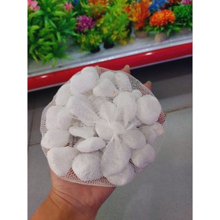 Sỏi trang trí bể cá - chậu cây