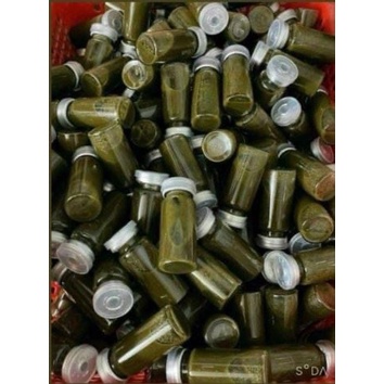 Peel da vi tảo tẩy tế bào chết mặt sạm nám tàn nhang tái tạo da mới 10ml