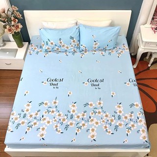 Set chăn ga gối cotton lụa !!