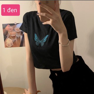 ÁO CROPTOP ORDER QUẢNG CHÂU