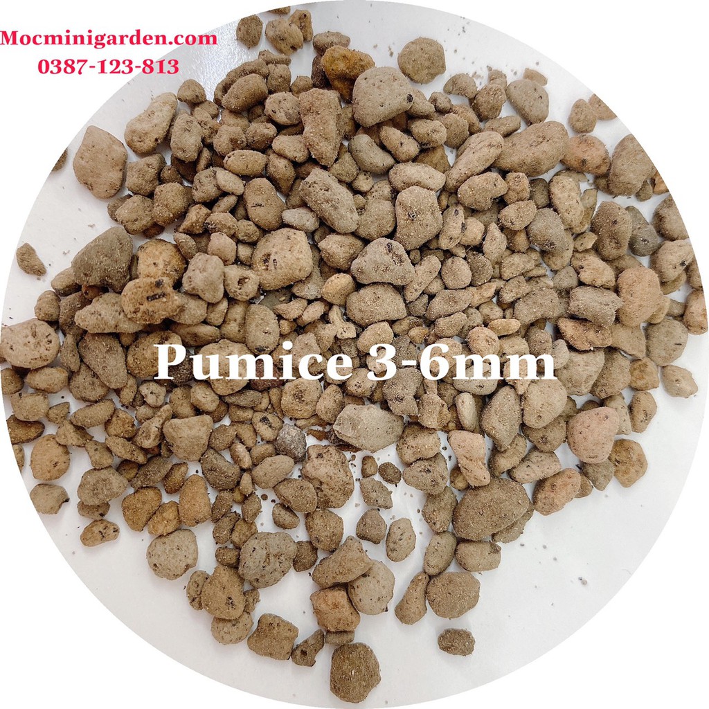 Đá Bọt Pumice Indonesia || Nhiều Kích Thước - Vật Tư Quan Trọng Trong Ngành Trồng Cây | Mocminigarden