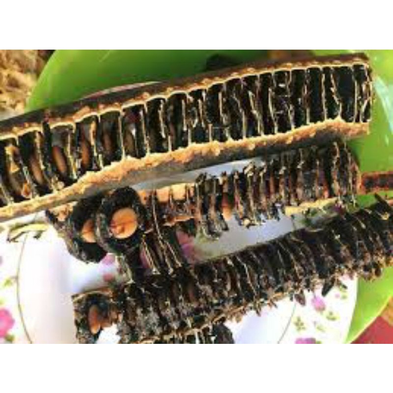 Cơm Quả ô môi hay quả Canh ki na