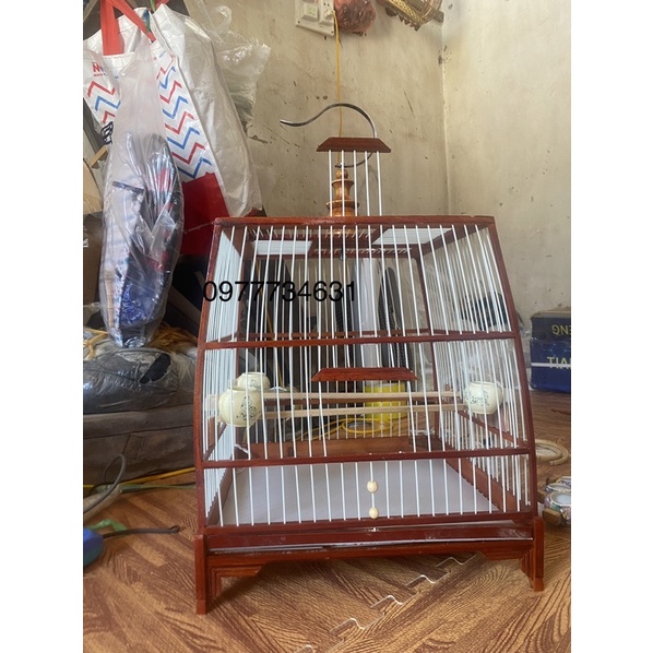 Lồng Thái đấu chào mào gỗ đỏ+nan cáp quang 21 nan chắc chắn