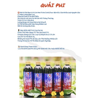 Câu cá rô phi - tinh chất Quái phi Sa phạm