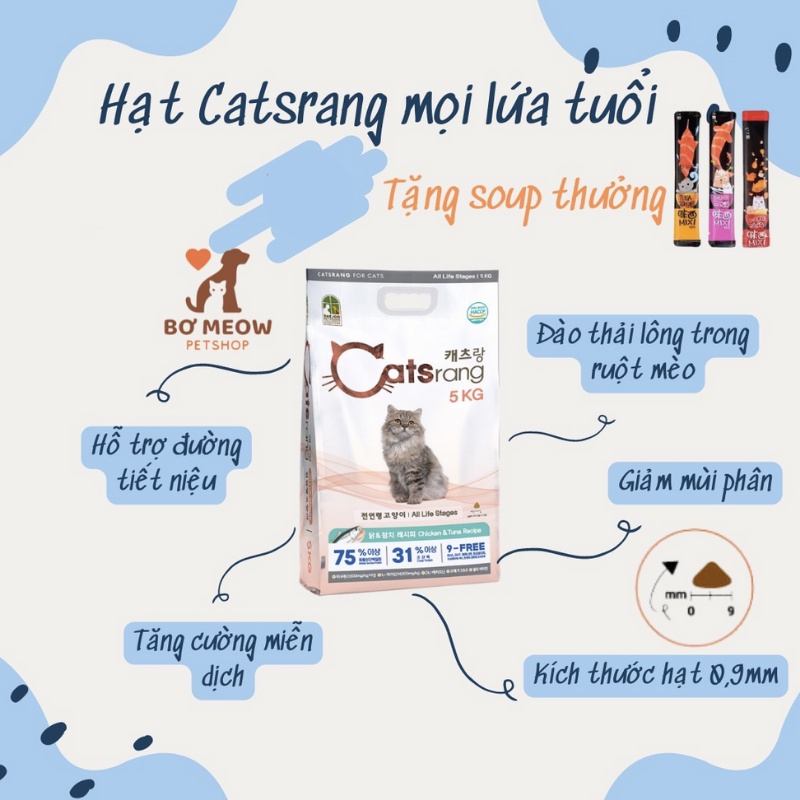 HẠT CHO MÈO CATSON, CATSEYE, CATSRANG, REFLEX, ROYAL KITTEN, AATAS