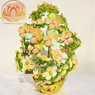 Cây Kim Tiền Chiêu Tài Lộc Trang Trí (Nhiều Mẫu)