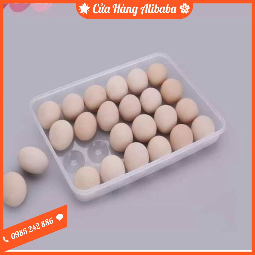 Hộp Đựng Trứng 24 Quả Nhựa Song Long Có Nắp