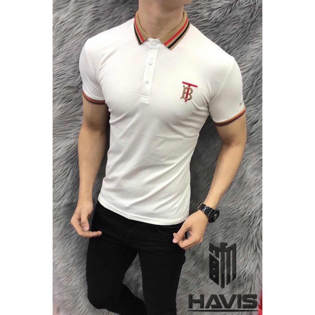 Áo thun nam có cổ Quảng Châu phối hoạ tiết thêu AHQ140