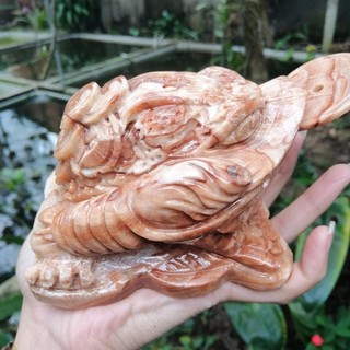 Cóc đá vân gỗ nguyên khối