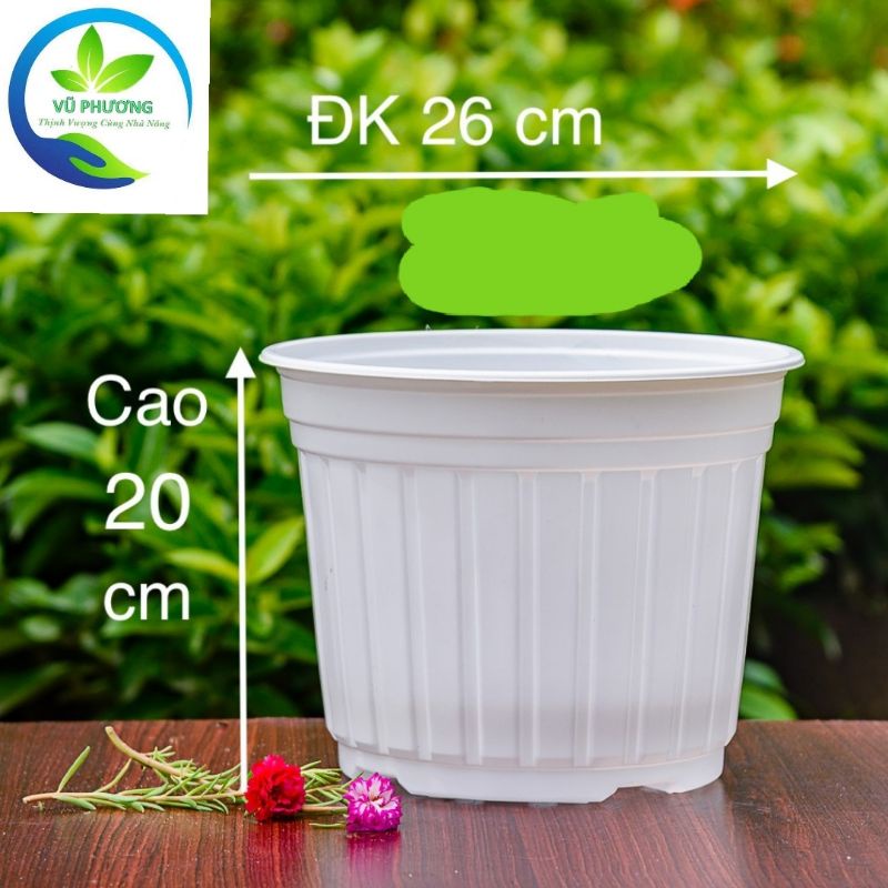 Chậu nhựa mỏng thích hợp trồng mọi loại cây T26 kích thước miệng 26cm cao 20cm