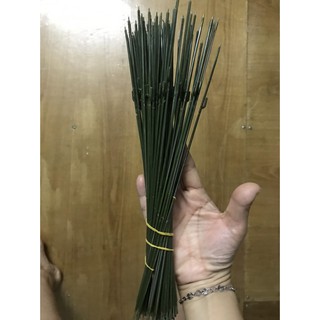 Cành kẽm thân hoa hồng 20 cm ( 10 cây)
