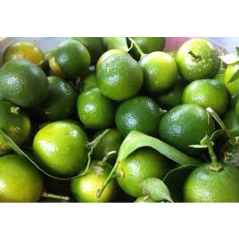 Tắc tươi 1 kg