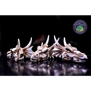 Đầu rồng trang trí bể bò sát