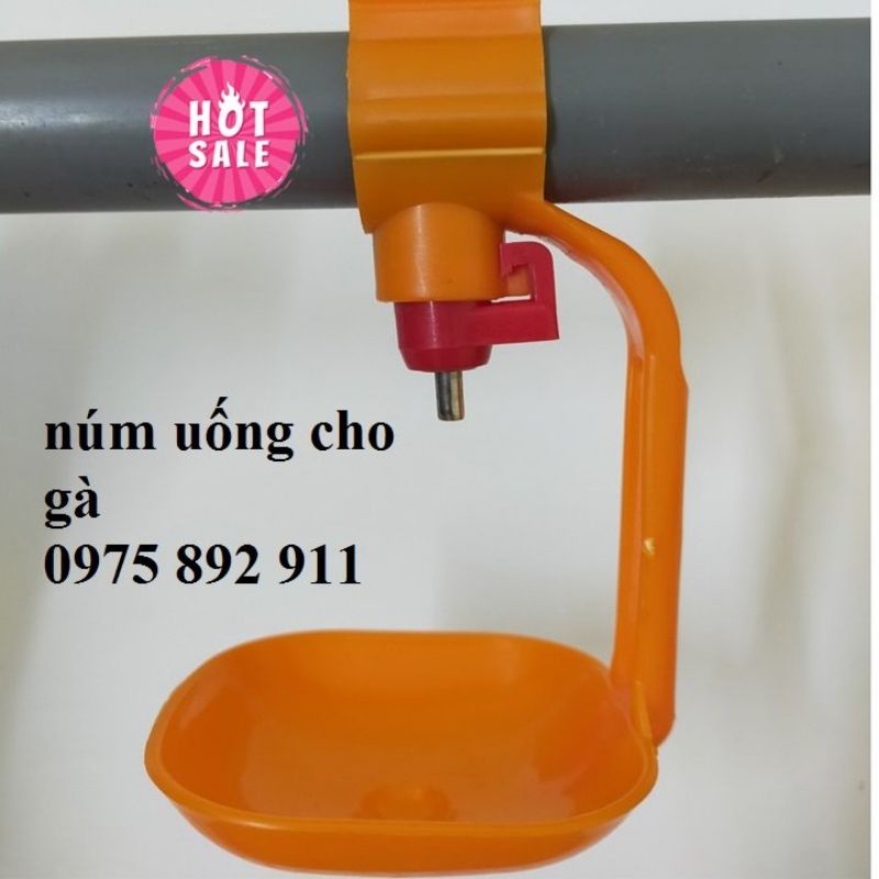 Máng uống cho gà loại núm uống tự động