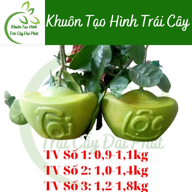 Khuôn Thỏi Vàng Số 1, loại dày 4 li, Khuôn Tạo Hình Trái Cây Đẹp