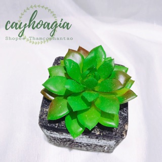 Cây Giả - Chậu Sen Đá Hoa Sen MSOH