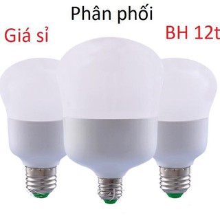 Bộ 50 bóng đèn LED 20W - Siêu sáng (Trắng)