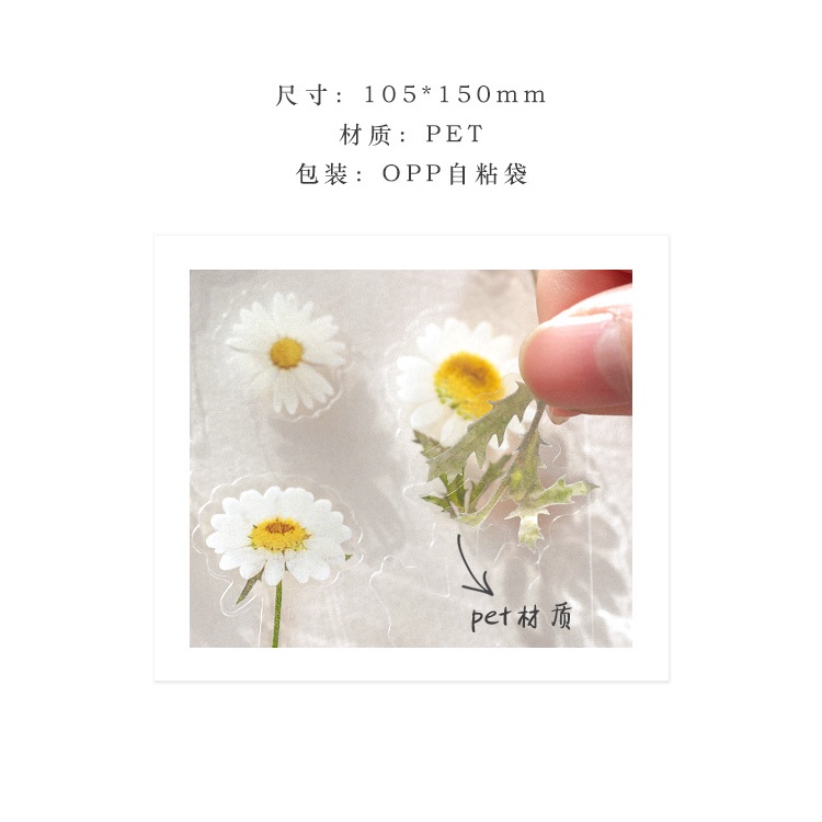 Bộ 6 Miếng Dán Hình Cây Hoa Trang Trí Diy