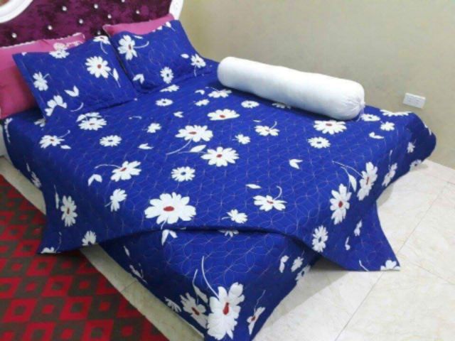 Drap cotton poly han quoc