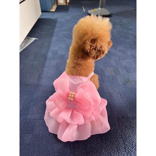 Váy hồng công chúa bồng bềnh cho thú cưng