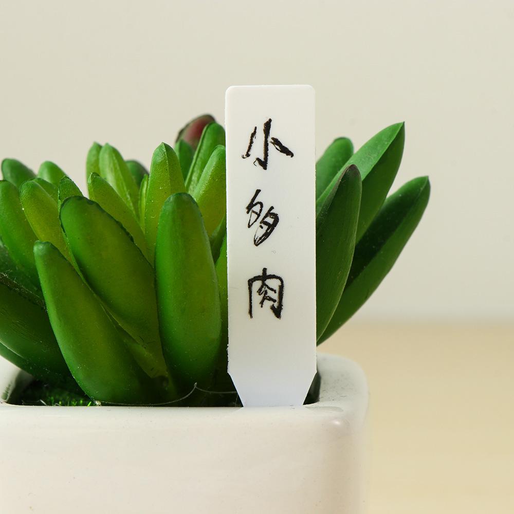 SUYO 100 Thẻ Gieo Hạt Trồng Cây Chống Thấm Nước