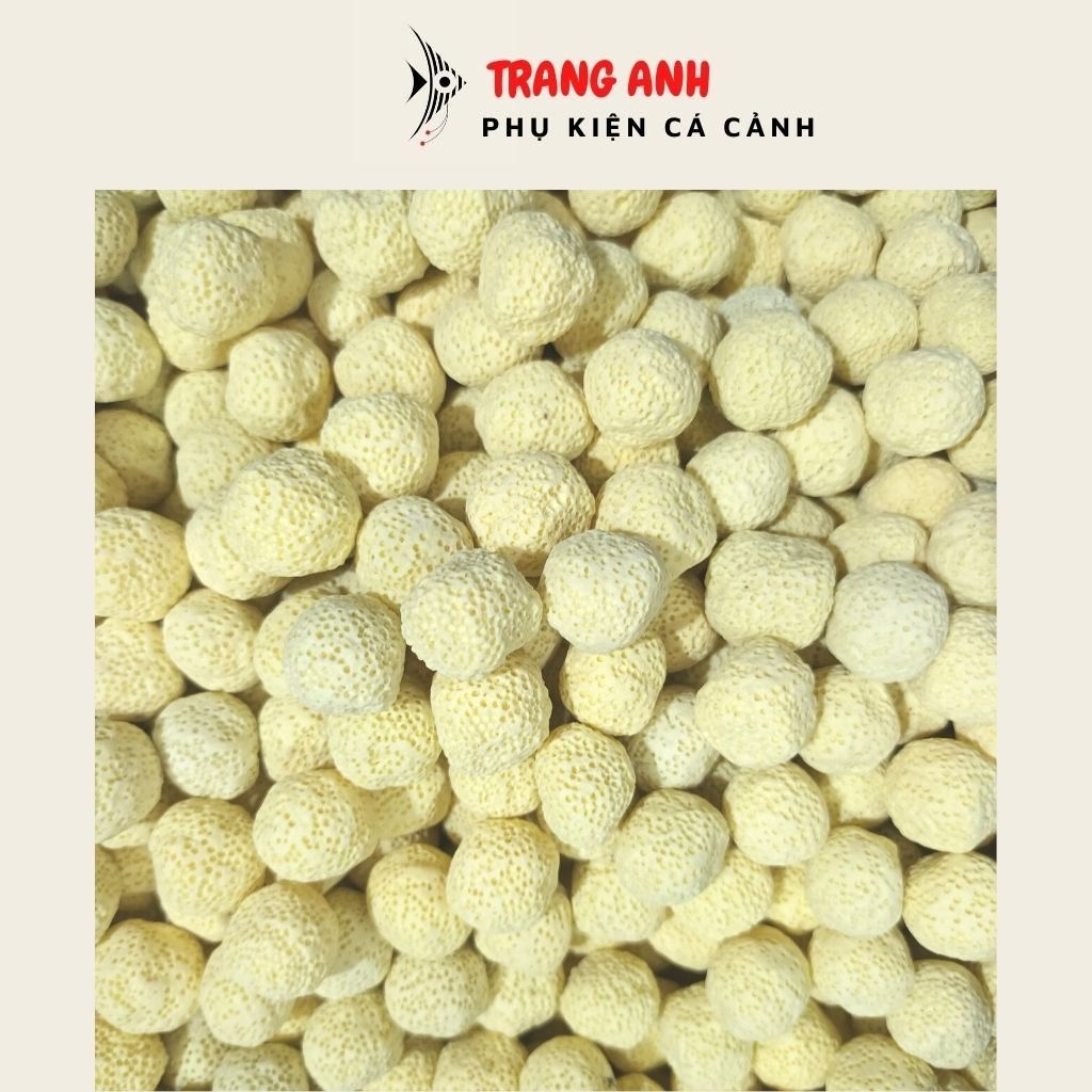 Sứ bi vàng - Sứ lọc nước bể cá cảnh