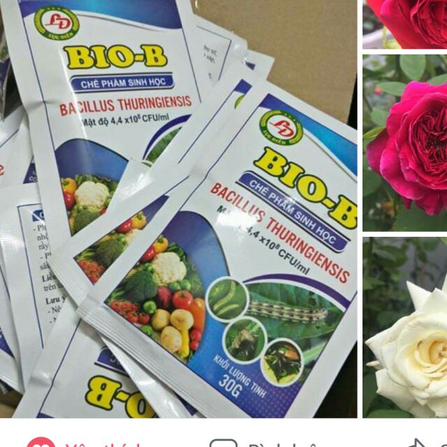 Sét 11 gói Chế phẩm sinh học Bio-B
