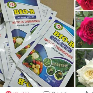 Sét 11 gói chế phẩm sinh học bio-b