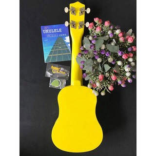 Đàn Ukulele Soprano BB-290 ( Tặng Phụ Kiện )