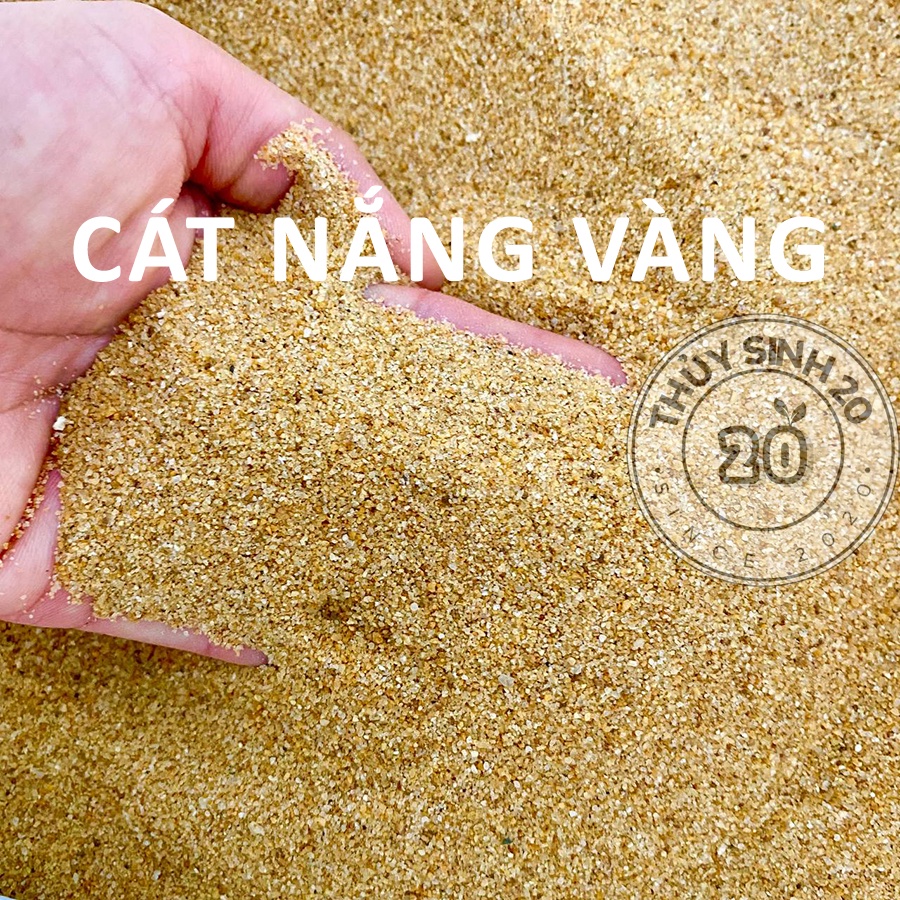 500gr Cát nắng vàng trải nền hồ thủy sinh