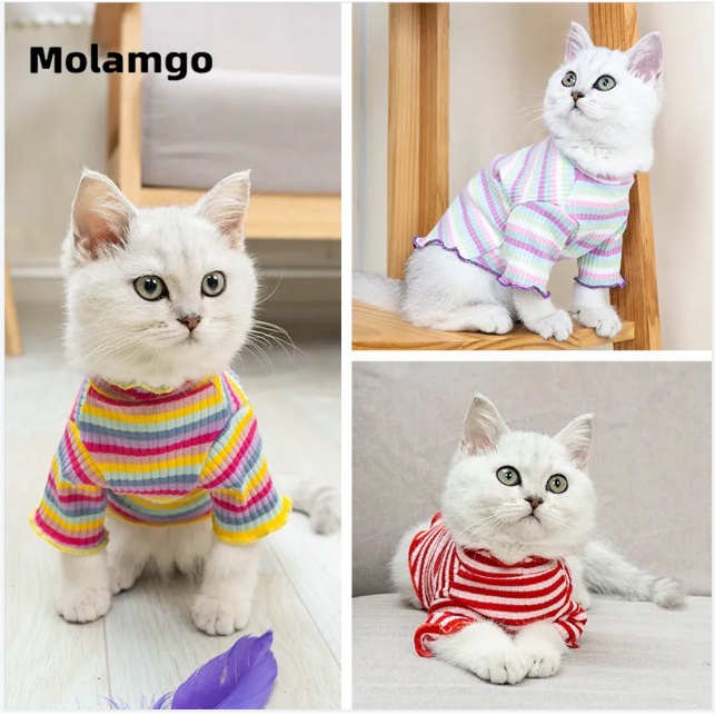 Áo Sweater Dễ Thương Cho Thú Cưng Shih Tzu Pomeranian