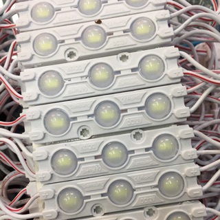 Led hắt 3 bóng ss mắt lồi -20 bóng/1 dây