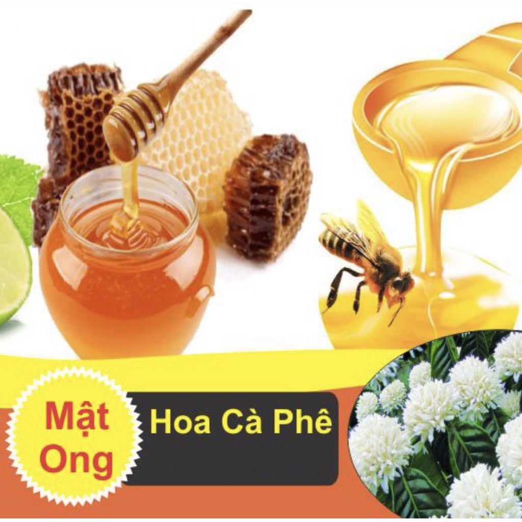 Mật ong Hoa Cà phê - Loại cao cấp dùng tốt- 2 LÍT = 2.6kg