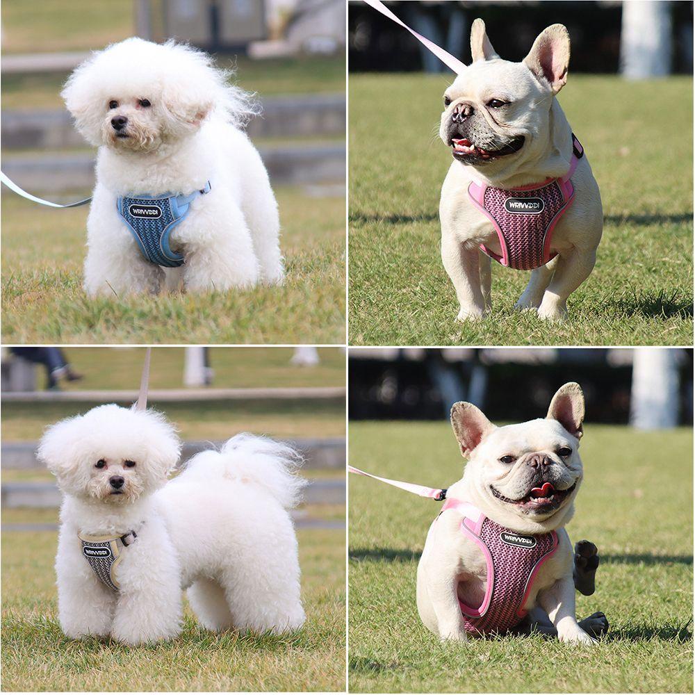 Dây Dắt Thú Cưng Đi Dạo Bằng Lưới Mềm Mại Thoáng Khí Siêu Bền Có Thể Điều Chỉnh