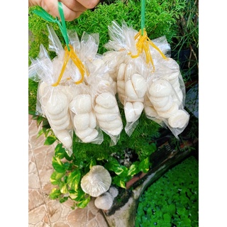 BÁNH BAO TUỔI THƠ ( XÂU 10b )