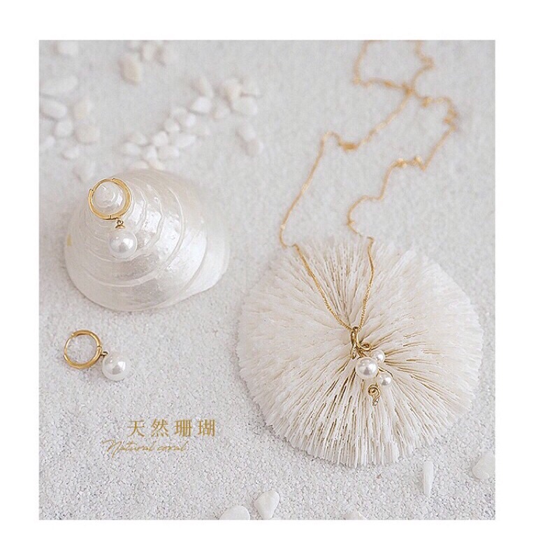 Đồ Decor, Chụp Ảnh Trang Sức Hình San Hô Biển Sang Trọng.