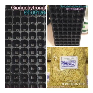 Combo-khay gieo ươm hạt giống và giun ghép cây